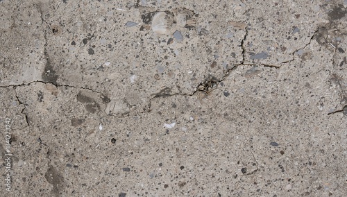 Showing weathered concrete slab revealing branching fissures and exposed aggregate on pavement