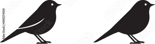 Set of black bird and crow silhouettes illustration vector for nature and wildlife art