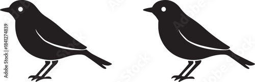 Two penguins isolated on white background vector illustration