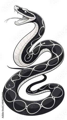  Snake  Black and White  Illustration