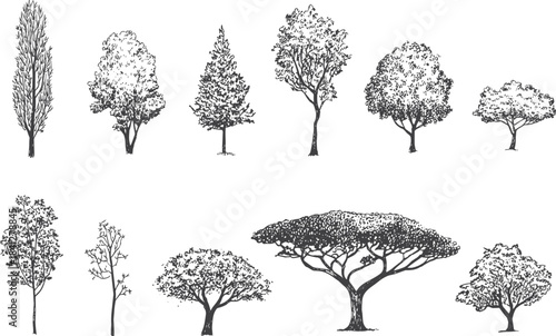Collection of Hand-Drawn Tree Illustrations in Various Styles and Shapes trees variety
