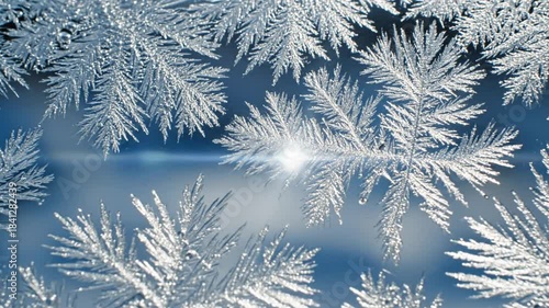 Intricate Ice Patterns - A Winter Window Display of Frost.