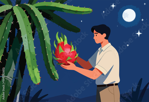 Man harvesting a vibrant dragon fruit under a moonlit night sky