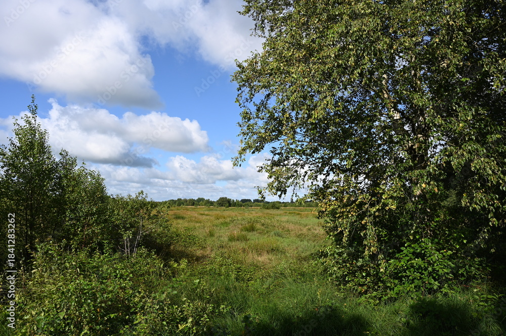 Obraz premium Am Ewigen Meer