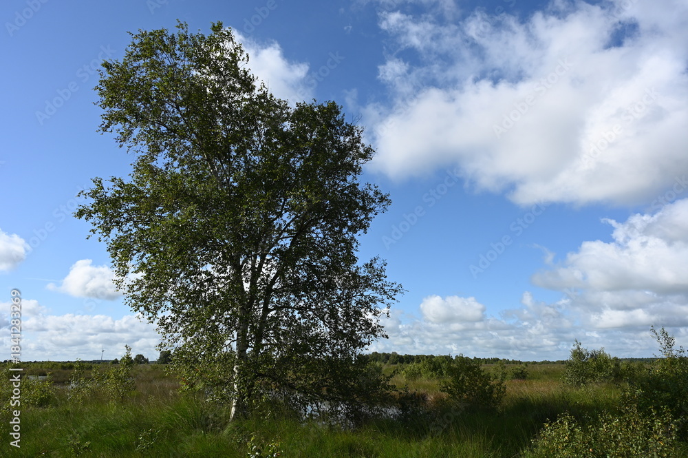 Obraz premium Am Ewigen Meer
