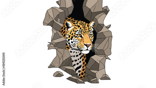 A leopard peeking through a broken wall with a fierce expression on its face looking forward