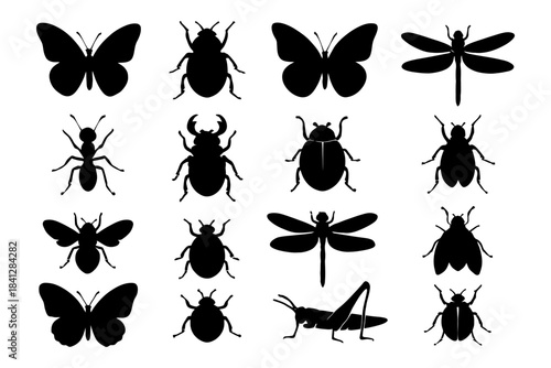 Silhouettes of various insects: butterflies, beetles, dragonflies, ants, grasshoppers, and flies.