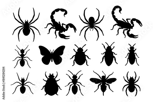Silhouettes of insects and arachnids: spider, scorpion, butterfly, beetle, ant.