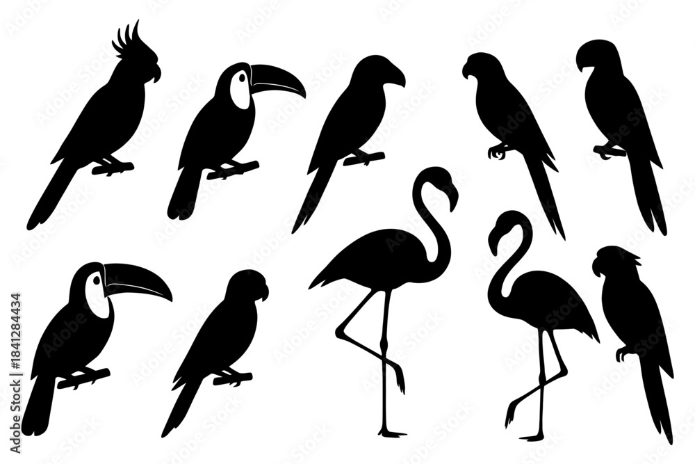 Fototapeta premium Silhouette collection of exotic birds and flamingos.