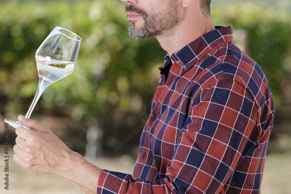 Fototapeta premium man holding a glass of white wine near the wineyard