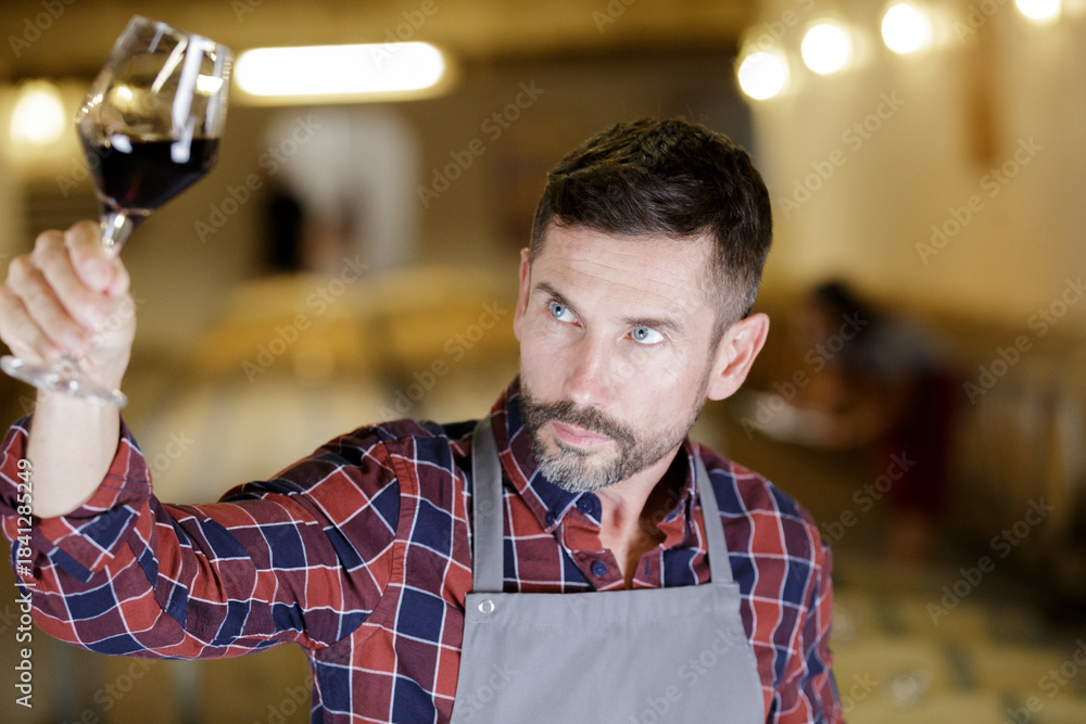 Fototapeta premium winemaker tasting red wine in cellar