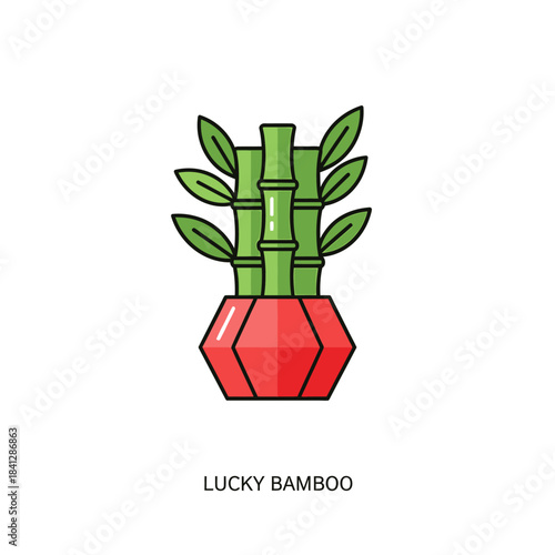 Auspicious indoor botanical arrangement of lucky bamboo in vibrant red pot