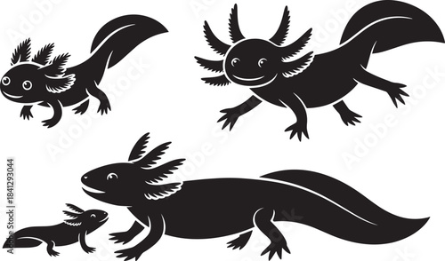 Vector set of various axolotls silhouettes including small baby aquatic amphibians and adults