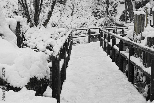 雪が降る日の橋