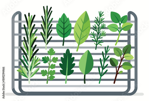 Assorted green herbs displayed on a grey wire rack