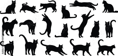 Black cat silhouette collection, feline poses, animal movement, vector illustration, sitting, walking, jumping, stretching, playing, pet behavior, anatomy