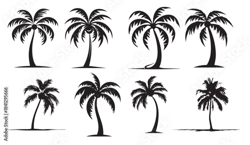this set of detailed palm and coconut tree silhouette