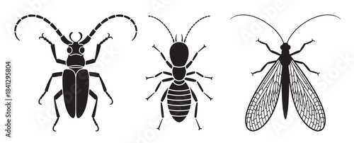 three insect silhouettes including a fly beetle and ant
