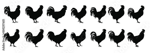 hen silhouette black clipart set chicken silhouettes bundle