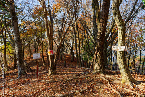 Wallpaper Mural 鉢伏山 Torontodigital.ca