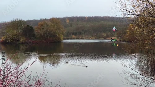 Serene lake landscape with a unique flower sculpture and ducks swimming on a cloudy day