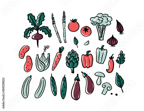 Vegetable texture illustration on isolated background. Colored sketch with eggplant, carrots, tomatoes, cucumbers, mushrooms, potatoes, paprika, artichoke, zucchini, pepper, garlic. Food, farm harvest