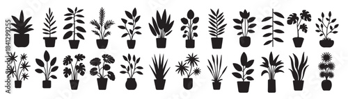 twenty four black silhouette houseplants in pots botanical 