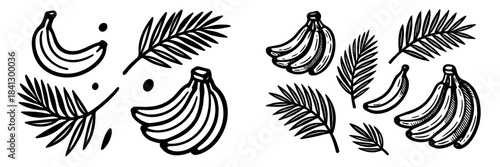 Bananas and tropical leaves in vector illustration design