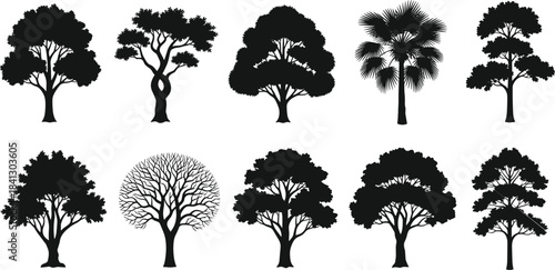 Collection of diverse tree silhouettes, natural forest illustration set, botanical nature elements, detailed foliage designs, isolated black vector trees for 