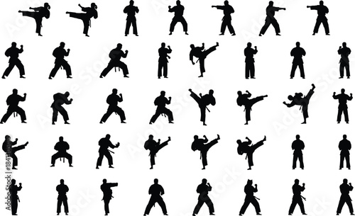 Collection of martial arts silhouettes showing karate fighters in dynamic kicks, punches, stances, and training poses isolated on white background