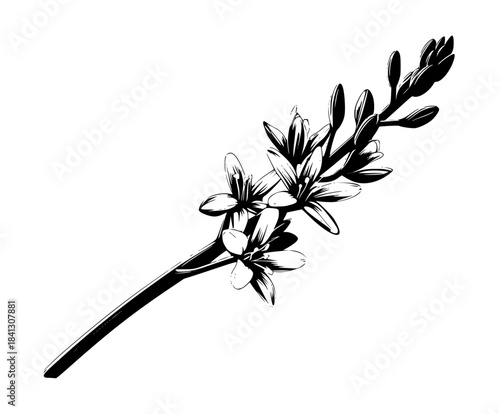 Bouquet Black White Flower Stems | Clean, isolated vector art for creative projects.