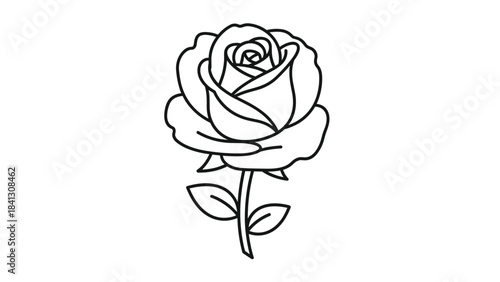 A beautiful black line drawing of a single rose with leaves on a, Generative AI
