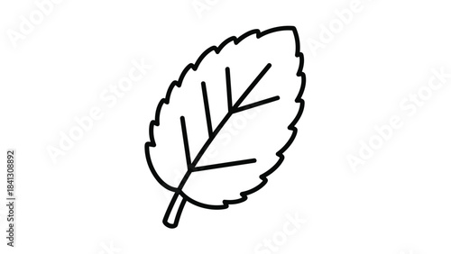 A simple black line drawing of a leaf on a, Generative AI