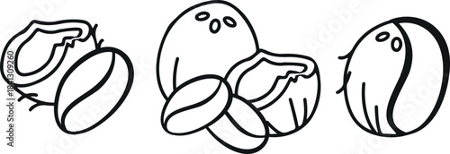 set of icons of coconuts in whole and opened state with coffee beans in line art style, for menus, mobile applications, packaging and infographics