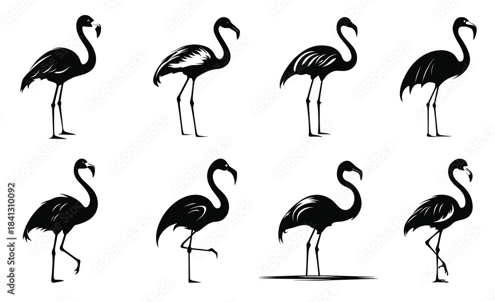 Obraz premium flamingo silhouettes clipart set flamingo bird black 