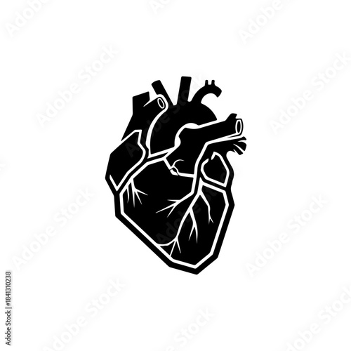 Stylized anatomical heart illustration with visible arteries and veins, representing life, health and circulation in black and white. isolated on transparent background