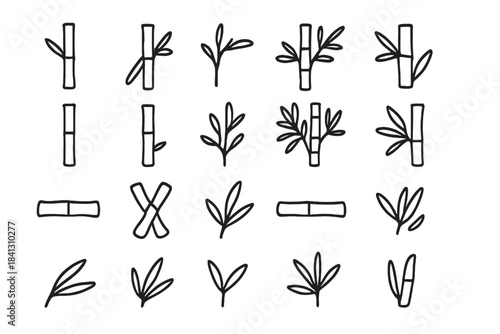 Simple outline collection of bamboo stems and delicate leaves for nature design