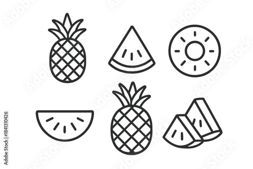 Outline icons of tropical fruits including whole pineapples and slices of watermelon and melon