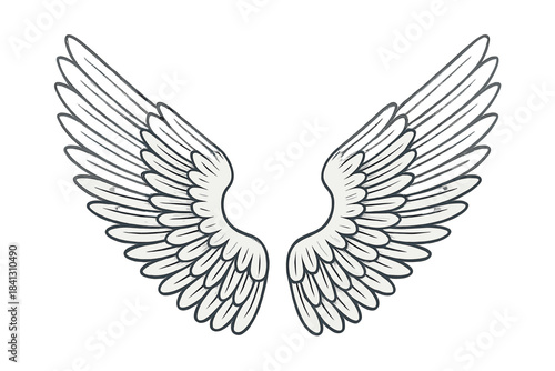 Stylized pair of symmetrical angel wings with detailed feathers and dark outlines