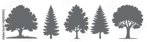  four gray tree silhouettes set deciduous trees evergreen