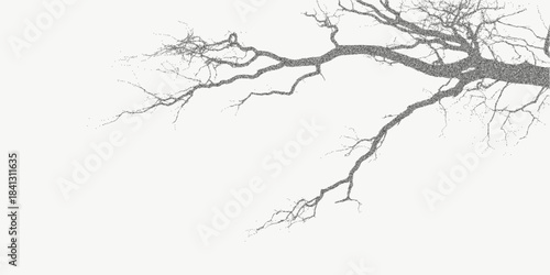 Dark background with a lone branch drawn in rough ink, grainy paper overlay, faded speckle and dusty photocopy texture, faint scratches and subtle grit.