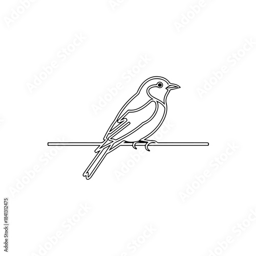 Outline drawing of a small songbird perched on a thin branch, simple vector illustration suitable for coloring books and graphic design. isolated on transparent background