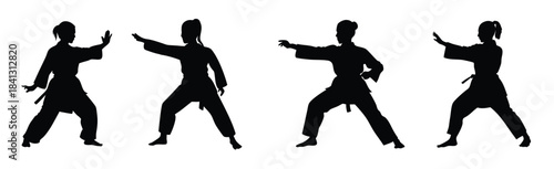 Karate Silhouette Poses: Martial Arts Stances and Training Positions