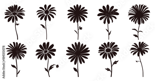 daisy flower silhouette vector set daisy flowers clipart