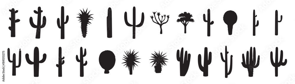 Fototapeta premium different type of cactus vector silhouette illustration 