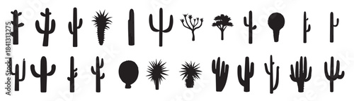 different type of cactus vector silhouette illustration 