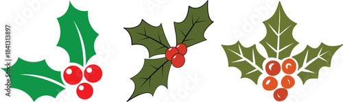 Holly berry icons set, Chritmas logo wirh holly berries.Christmas holly berry flat vector illustration icons set ,Cartoon holly leaves and berries.A simple illustration of holly leaves and berries