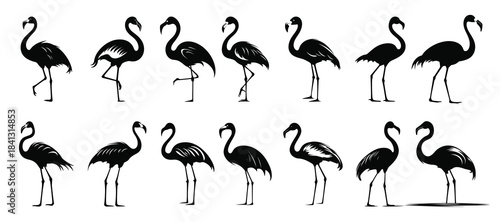  flamingo silhouette clipart bundle