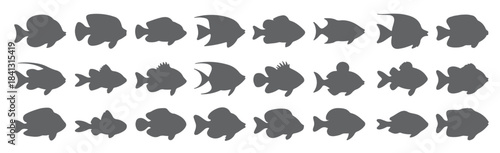 twenty four gray fish silhouettes various shapes and sizes