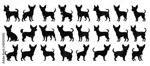 chihuahua dog silhouette clipart bundle